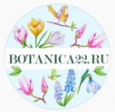 Ботаника22